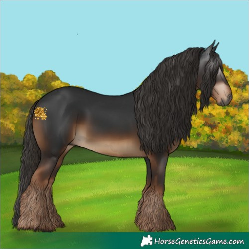 Horse Color:Gray White Spotted Liver Chestnut 