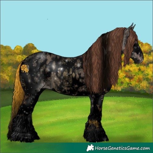 Horse Color:Powder White Void Bay Ice Roan Dun Splash Appaloosa Rabicano 