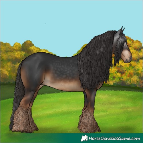 Horse Color:Gray White Spotted Liver Chestnut 