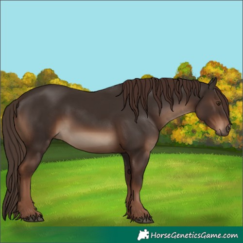 Horse Color:White Spotted Liver Chestnut 
