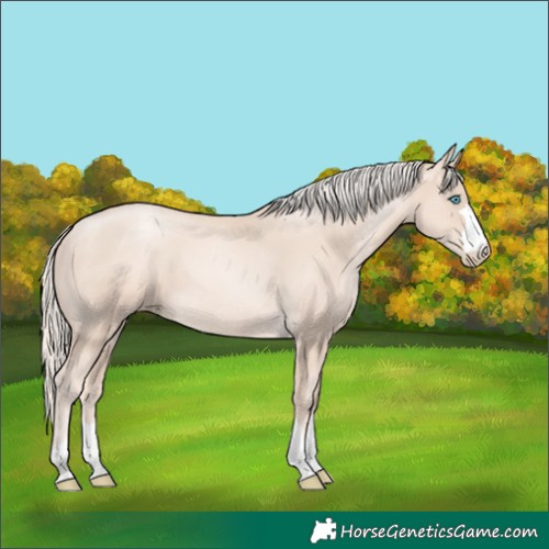 Horse Color:Gold Cream Champagne Pearl 