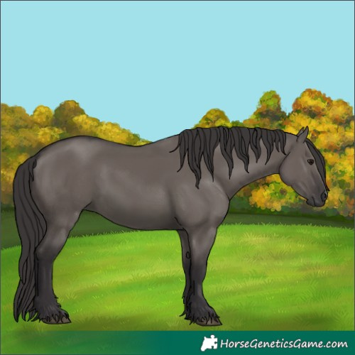 Horse Color:Smoky Grullo 