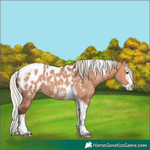 Horse Color:Silver Bay Dun Splash Tobiano Near Leopard 