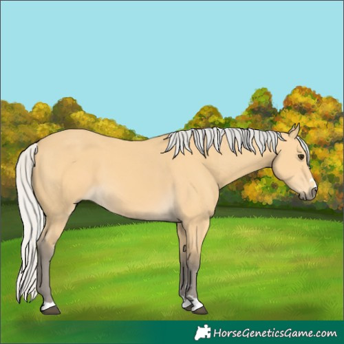 Horse Color:Silver Buckskin 