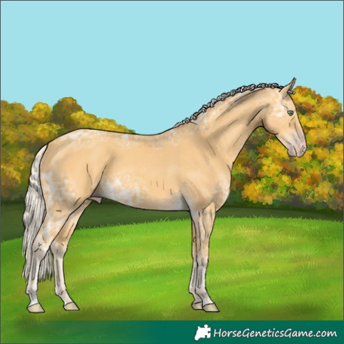 Horse Color:Silver Amber Cream Champagne Ice 