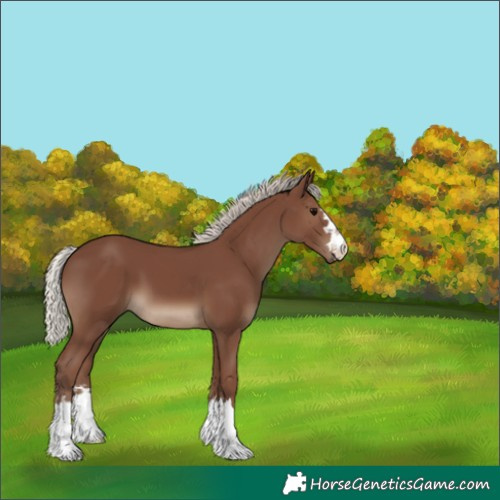 Horse Color:Silver Black 