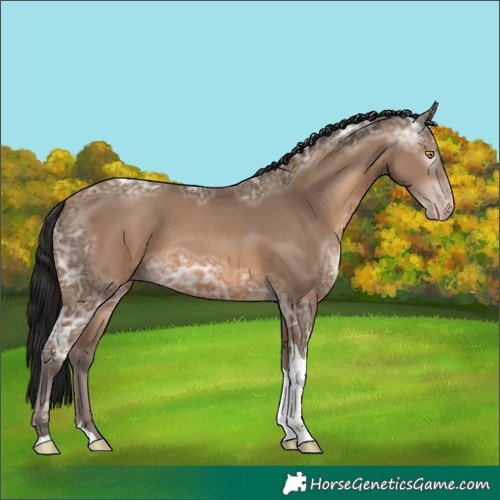 Horse Color:Gray Amber Champagne Ice Tobiano 