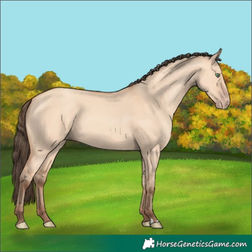 Horse Color:Amber Champagne Dun 