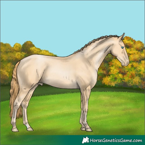 Horse Color:Buckskin Pearl 
