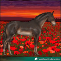 Horse Color:White Spotted Liver Chestnut 