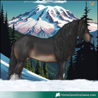 Horse Color:White Spotted Brown