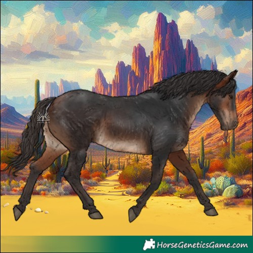 Horse Color:White Spotted Bay 