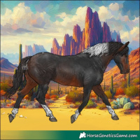 Horse Color:Brown Tobiano 
