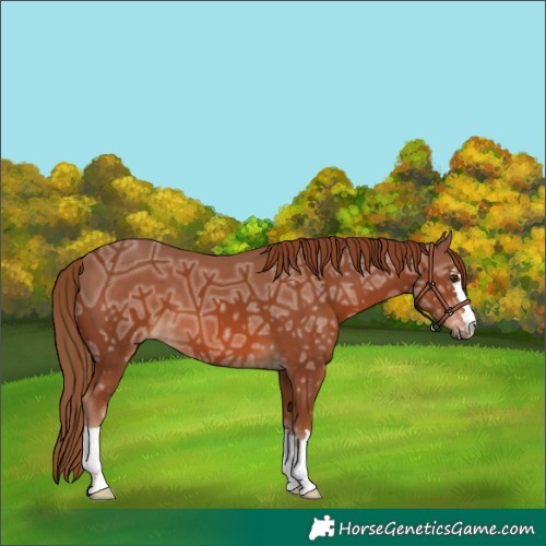 Horse Color:Chestnut Ice 