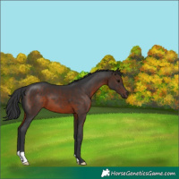 Horse Color:Brown 