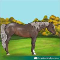 Horse Color:Silver Black 