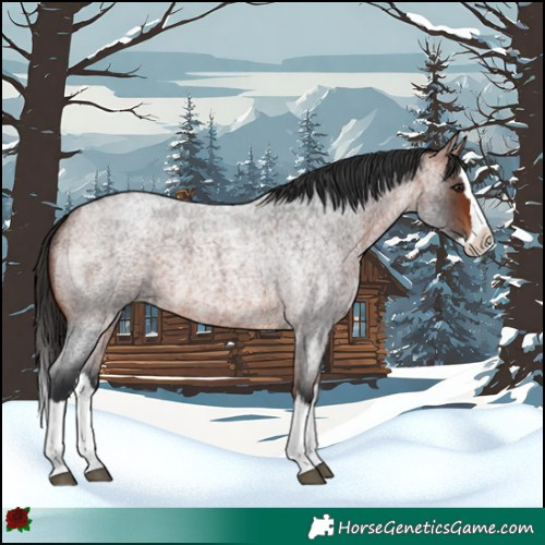 Horse Color:Brown Roan Splash 