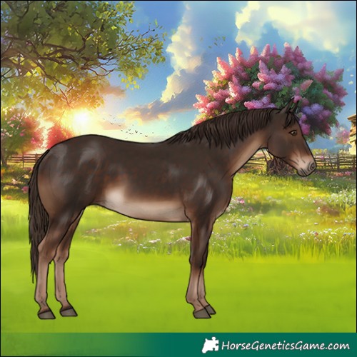 Horse Color:White Spotted Liver Chestnut 