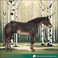 Horse Color:White Spotted Liver Chestnut 
