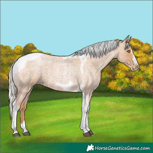 Horse Color:Silver Blue Roan Pearl Tobiano Frame 