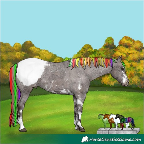 Horse Color:Painted Chocolate Grullo Ice Sabino Tobiano Appaloosa