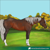Horse Color:Silver Brown