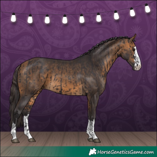 Horse Color:Smoky Black  and Buckskin 