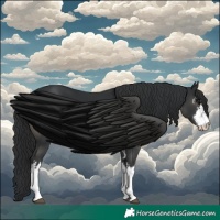 Horse Color:White Spotted Black