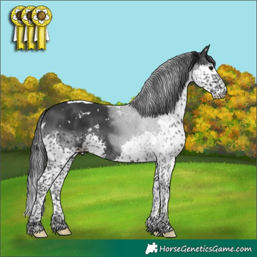 Horse Color:White Spotted Black Splash Tobiano 
