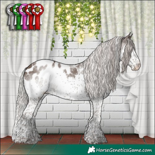 Horse Color:Powder White Silver Black Splash Tobiano Blanket Rabicano 