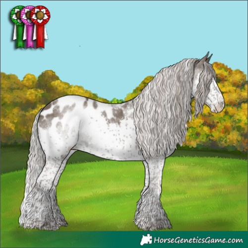 Horse Color:Powder White Silver Black Splash Tobiano Appaloosa Rabicano 