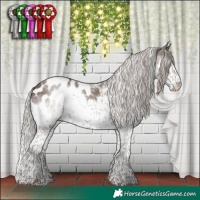 Horse Color:Powder White Silver Black Splash Tobiano Appaloosa Rabicano