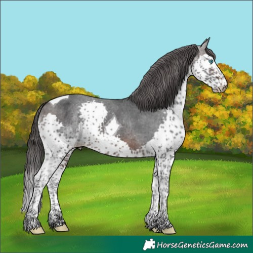 Horse Color:Brown Sabino Splash Tobiano Varnish 