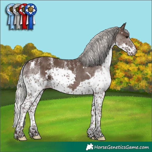 Horse Color:Powder White White Spotted Silver Black Splash 