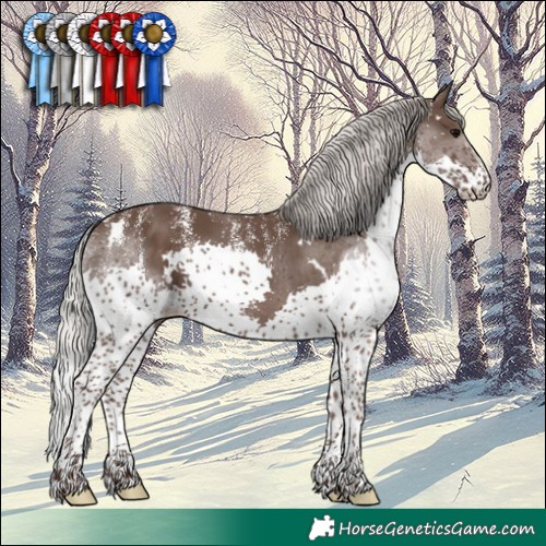 Horse Color:Powder White White Spotted Silver Black Splash 