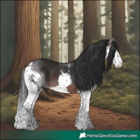 Horse Color:Powder White Brown Splash Tobiano 