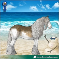 Horse Color:Silver Buckskin Splash Tobiano 