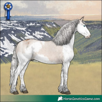 Horse Color:Powder White White Spotted Silver Brown Dun Splash Appaloosa 