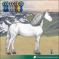 Horse Color:Powder White White Spotted Silver Brown Dun Splash Appaloosa 