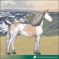 Horse Color:Powder White White Spotted Silver Brown Dun Splash Appaloosa 