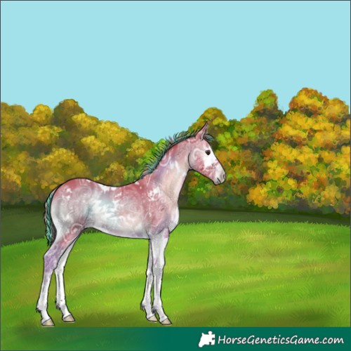 Horse Color:Painted Watercolor White Spotted Liver Red Onyx Ice Splash 