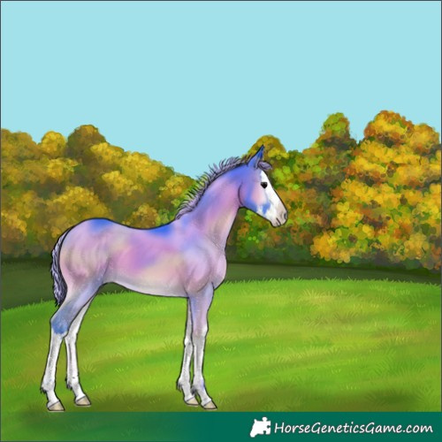 Horse Color:Watercolor Smoky Blue Onyx Sabino Splash 