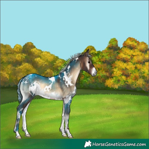 Horse Color:White Spotted Silver Brown Onyx 