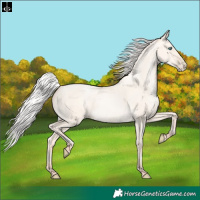 Horse Color:Silver Sable Cream Champagne Pearl Dun 