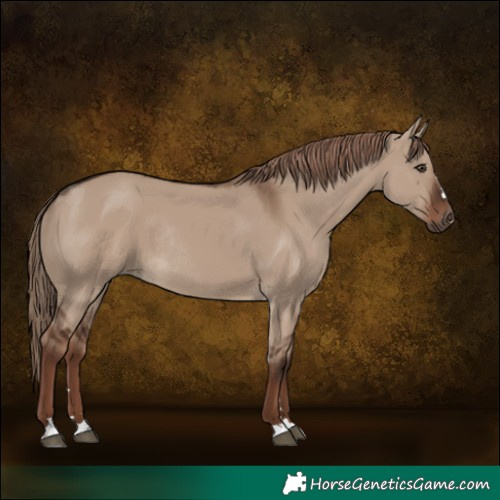 Horse Color:Liver Red Dun Rabicano 