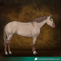 Horse Color:Liver Red Dun Rabicano