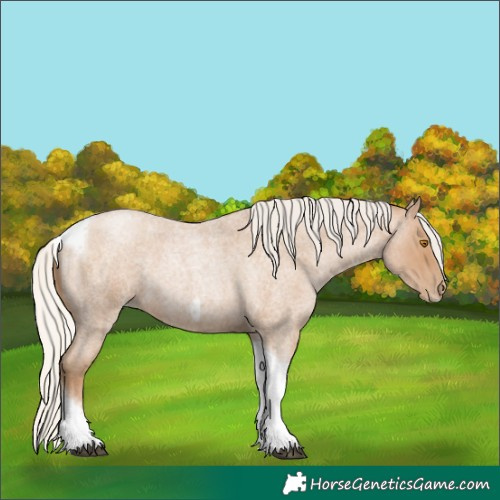 Horse Color:Silver Blue Roan Pearl Tobiano Frame 