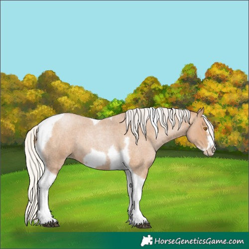 Horse Color:Silver Blue Roan Pearl Tobiano Frame 