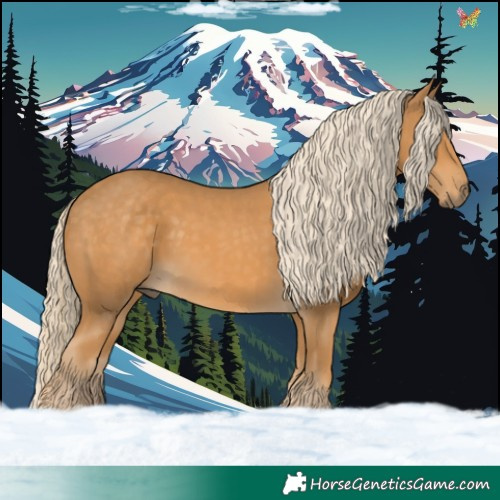Horse Color:Palomino 