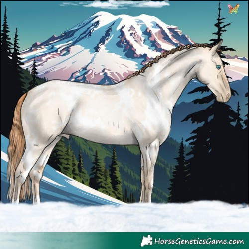 Horse Color:White Spotted Buckskin Roan Pearl Dun 